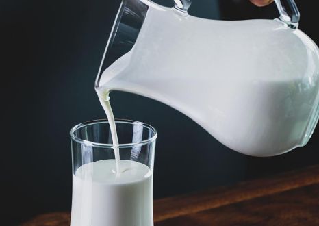 Le Proteine del Latte non vanno bene se prese con costanza