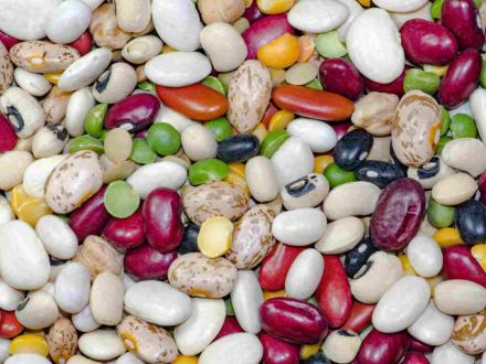 legumi come antinfiammatori